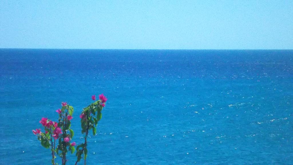 Ladikos Beach Hotel Kardamena  客房 照片